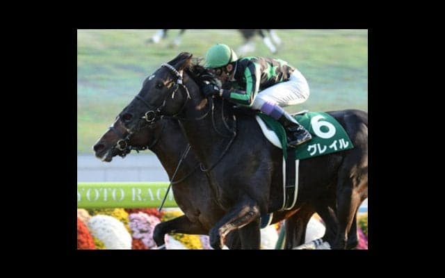 共同通信杯は「血の連鎖」に注目！ 実績も十分のグレイルで鉄板だ！