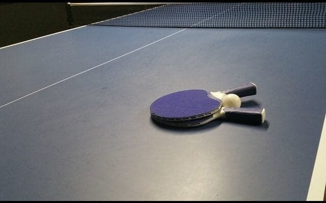 日本ペイント女子卓球部、新リーグ「Tプレミアリーグ」参入