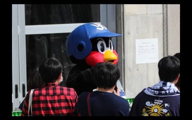 つば九郎があちこちに出没、“青木効果”でファン増加のヤクルトキャンプ