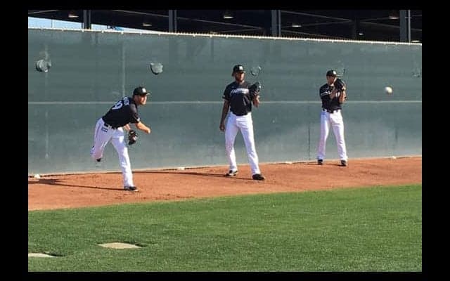 MLBでも同じ年に同じチームでデビュー　日ハム新助っ人コンビにかかる期待