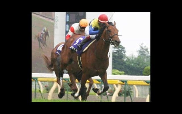 アンコールプリュは次元の違う末脚だ。桜花賞へ、新たなスター登場か