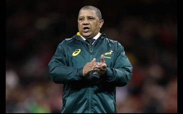  南ア代表前指揮官のクッツェー、キヤノンのヘッドコーチ就任！　日本で再挑戦 