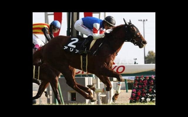 フィリーズレビュー「本番よりココ狙いの３頭」を穴党記者があぶり出す