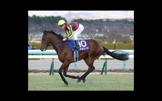 スプリングＳはステルヴィオにあらず。怪物息子に「奇跡の春」がくる
