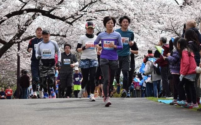 練馬こぶしハーフマラソン、J:COMが生中継…宮本和知、千葉真子らが出演