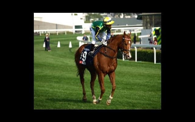 高松宮記念の「消しがちな外国馬ブリザード」が実は弱点を克服した説