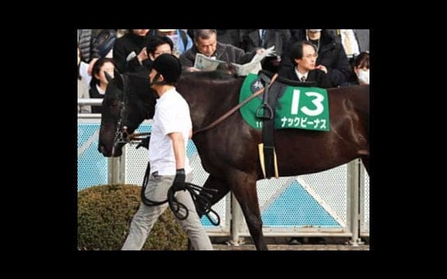 高松宮記念は３タイプの穴馬「前哨戦２着・前走惨敗・７歳」で幸せに