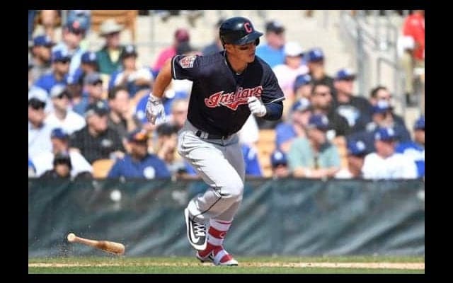 【MLB】オープン戦で奇跡の一打　“ホールインワン”に米騒然「7点の価値はある」