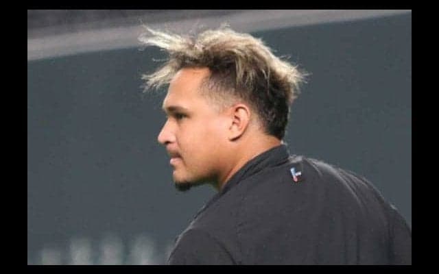 バットへし折って監督に謝罪　メジャー44発ハム新助っ人に待望の一発