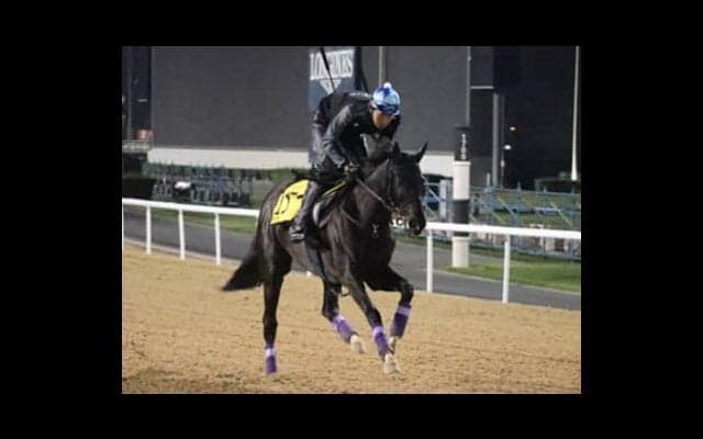 ドバイの４競走で「万馬券の油田」を掘り当てる日本調教馬はどれだ？