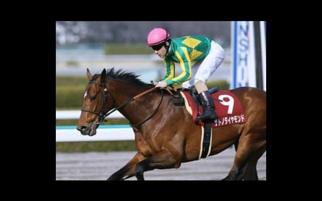 血統が「勝つ」と言っている。大阪杯はサトノダイヤモンドの復活舞台