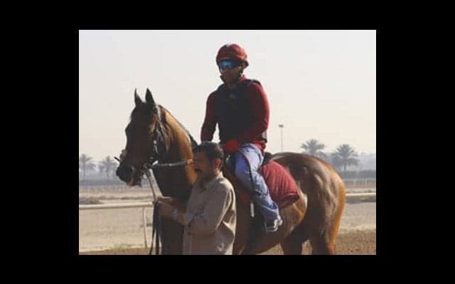 ドバイワールドＣは日本馬無視で、魔法の「万馬券じゅうたん」に乗れ