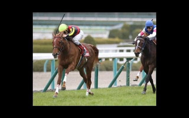 絶対女王を追う、２番手以下は大モメだ。最新「３歳牝馬ランキング」