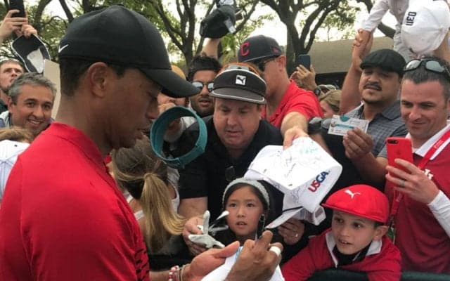 2018バルスパーチャンピオンシップ・タイガーのスタッツをまとめてみた 【#GNの中の人取材レポ】