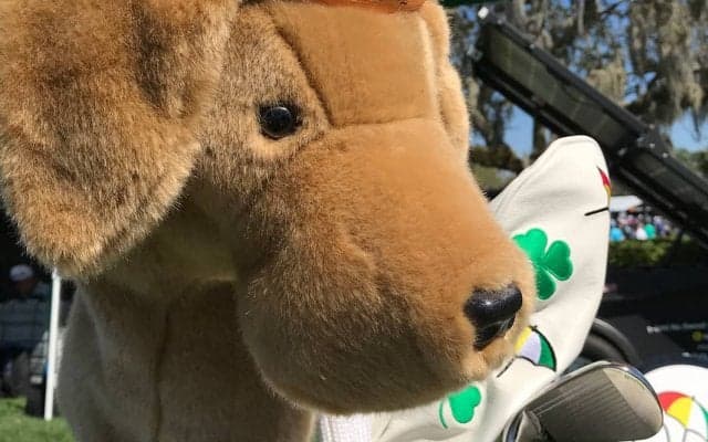 練習場は動物園？アーノルド・パーマー招待 【#GNの中の人取材レポ】