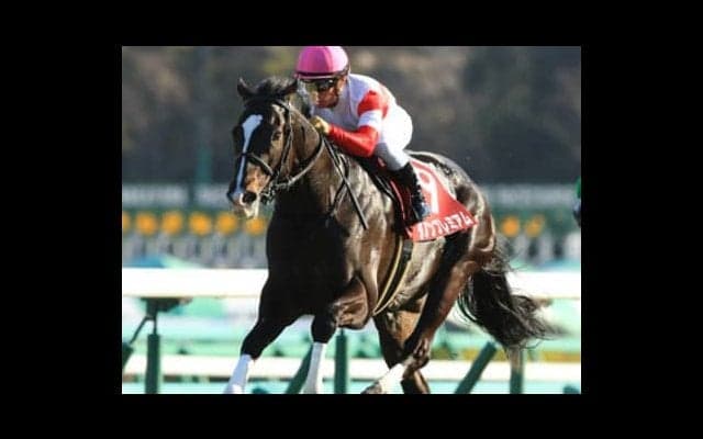 ダノン皐月賞回避で異状あり！激変する最新「３歳牡馬ランキング」