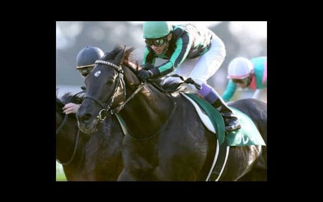 皐月賞は「上がらぬ人気に怒った３頭」が秘めたる力を爆発させる！