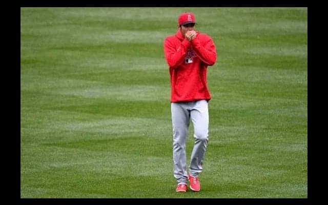 【MLB】好調・大谷を止められるのは「大自然」だけ!?　米紙特集、負傷リスクに懸念も