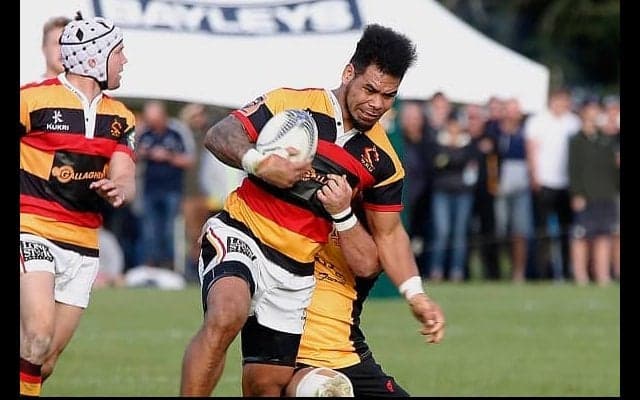  豊田自動織機が4選手追加　前サニックスPR石澤やトンガ代表CTBなど獲得 