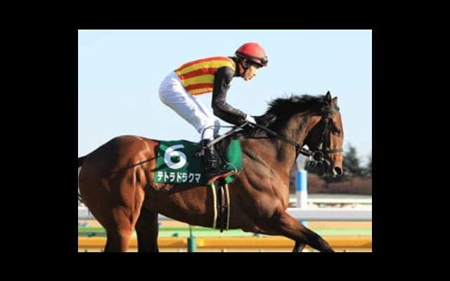 NHKマイルＣは今年も牝馬。中11週のテトラドラクマが不気味だわ