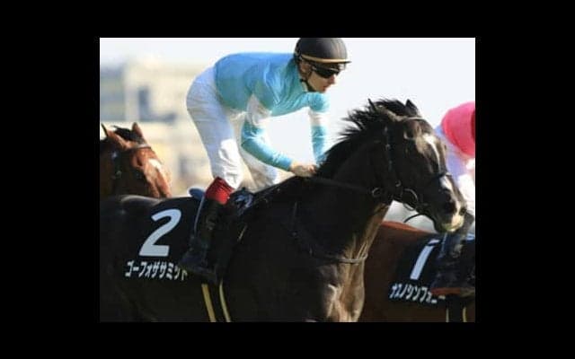 蛯名騎手は「手が合う」ゴーフォザサミットで、ついに頂上に行けるか