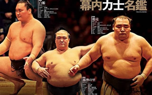 白鵬、鶴竜、稀勢の里を特集した「大相撲ぴあ 平成三十年度版」発売
