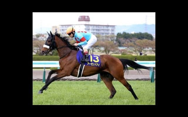 オークスは絶対能力。有力２頭の疑問視は「イテテッ」と大ケガするぞ