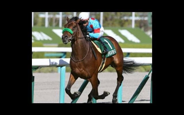 ブラストワンピースのダービー戦略。「異例のローテ」にはワケがある