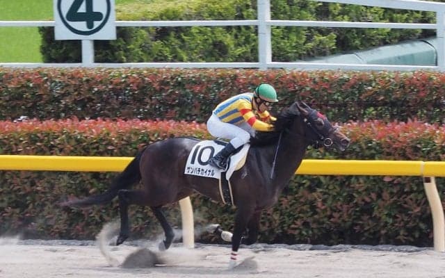 【東京5R/3歳500万下】ゲンパチカイナルが圧勝！直線楽々突き放す