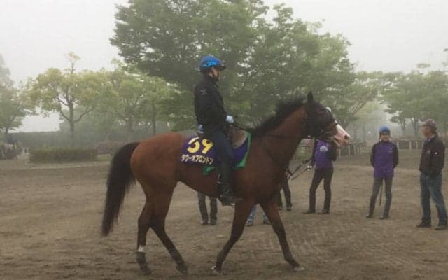 【NHKマイル】タワーオブロンドン 藤沢和師「前半穏やかに」