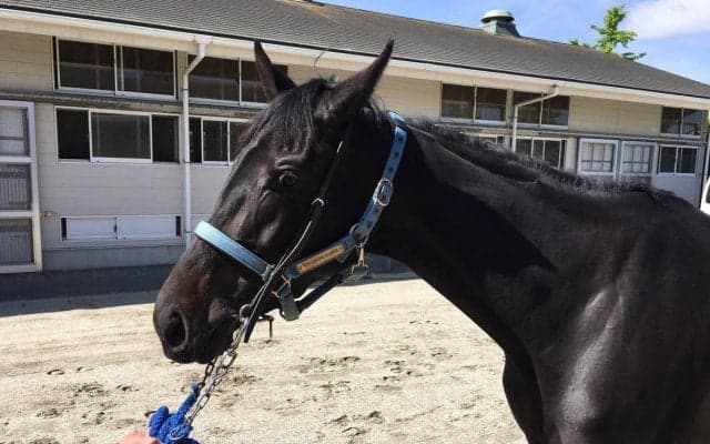 【3歳未勝利】松山「スムーズに抜け出す形になっていれば…」フォルシュナイト前が壁になるも3着