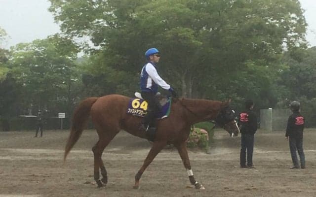 【NHKマイル】ファストアプローチ 藤沢和師「血統的にはぴったり」