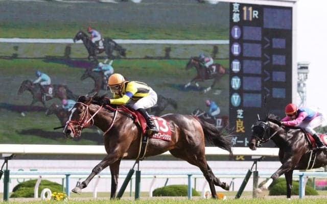 【京都新聞杯】藤岡佑「そんなにハイペースでは…」ステイフーリッシュが巻き返しいざダービーへ