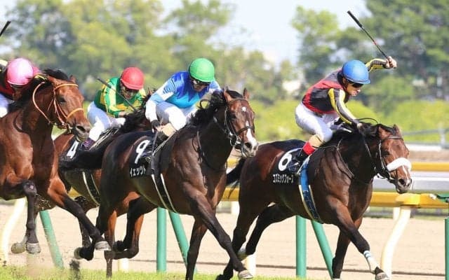 【東京11R/プリンシパルＳ】コズミックフォースが凌ぎきる！ダービー最終便を制する