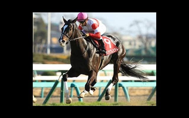 ◎か、スパッと切るか。ダノンプレミアムこそ、ダービー最大の悩みだ