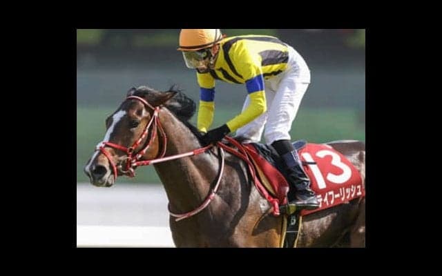 人気の２頭いらん！ 「異常なダービー」を勝てる４頭を穴党記者が叫ぶ