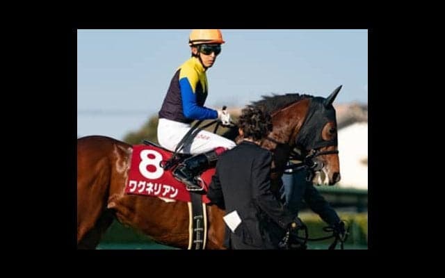 元ダービージョッキーは言う。あの「評価ガタ落ちの１頭」は侮れない