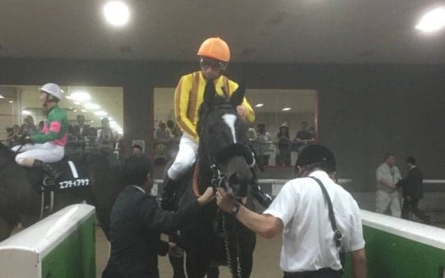 土曜東京９Ｒ・カーネーションＣは１番人気のゴージャスランチがクビ差勝ち 鹿戸師「力通り」