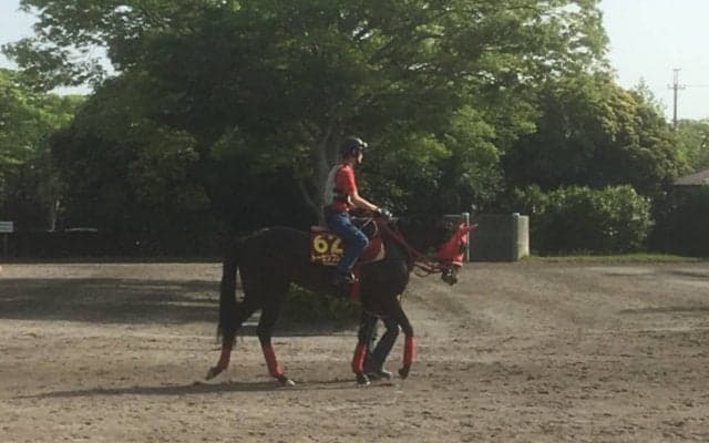 【オークス】トーセンブレスが左前挫石のため出走取消
