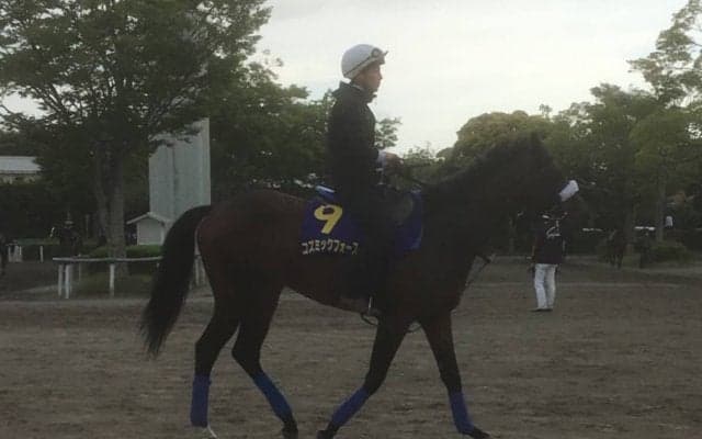 【日本ダービー】コズミックフォース 国枝師「G1のメンバーでどれだけやれるか」