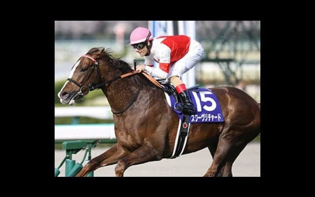 注目スワーヴリチャードはバッサリ。安田記念を勝つ４歳馬は別にいる