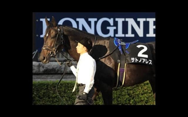 安田記念の伏兵３頭。うち１頭は「くれば遊んで暮らせる」大ボーナス