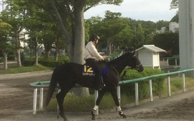 【日本ダービー】ジェネラーレウーノ 馬券圏を外していない安定感魅力