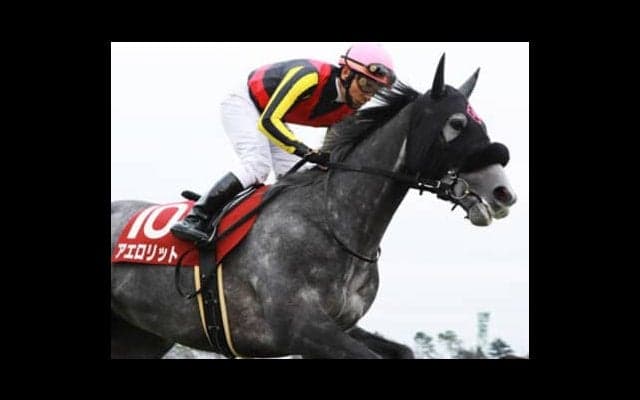 安田記念のウハウハ予想。「穴２頭＋大穴２頭」で、もう税金が心配だ