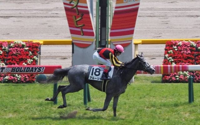 【東京6R/3歳500万下】アルーシャが早め早めの3角先頭！高速馬場を味方に一気に押し切る