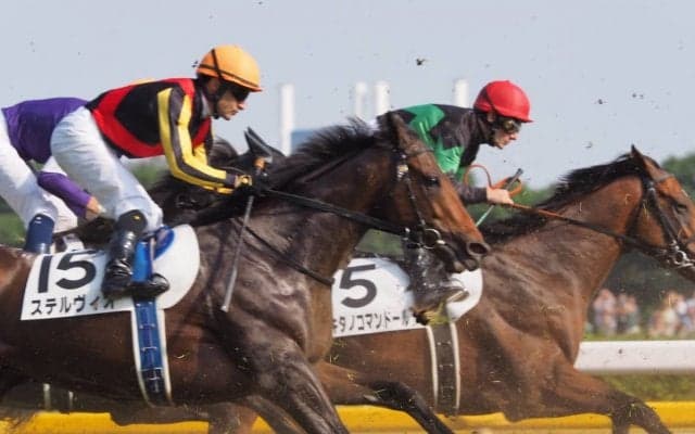 【日本ダービー】DMM、キタノコマンドールは12着敗退！デムーロ「瞬発力がいつもほど…」