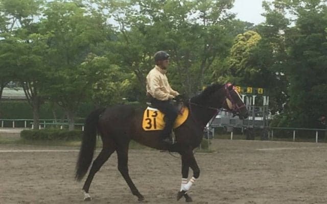 【鳴尾記念】ナスノセイカン 芝2000mはベスト