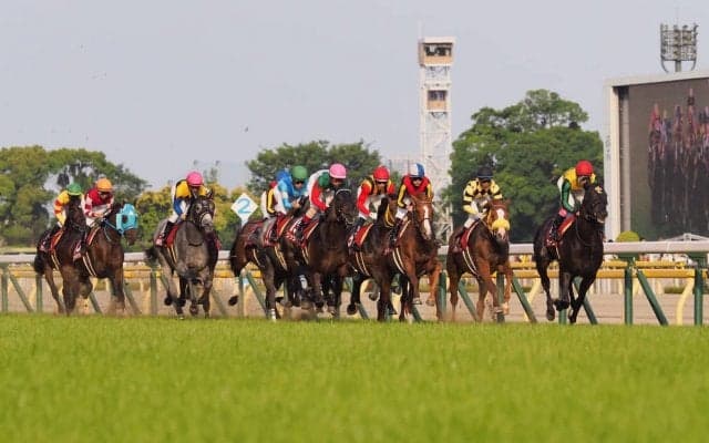 【目黒記念】デムーロ「頑張って走ってます」ジョッキー談話