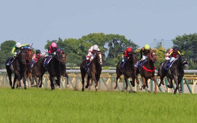 【安田記念】デムーロ「夏バテ気味だったのかも…」ジョッキー談話
