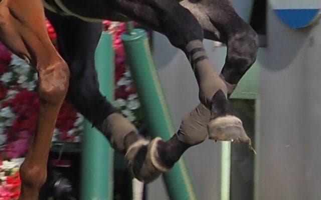 【安田記念】アエロリットまたしても落鉄！惜しい2着